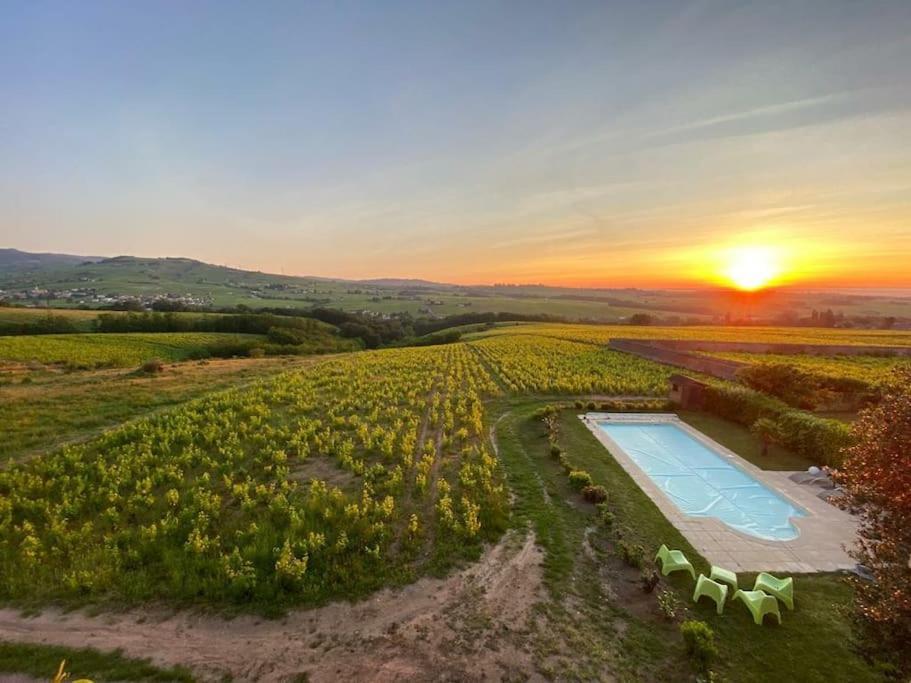 Au Coeur Des Vignes Chenas Du Beaujolais Apartment La Chapelle-de-Guinchay Exterior photo